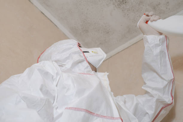 Best Residential Mold Removal  in Westover, AL