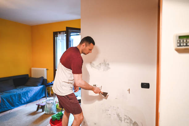 Best Office Mold Removal Services  in Westover, AL